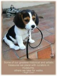 Walkies