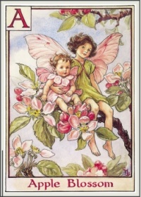 Apple Blossom by Cicely Barker