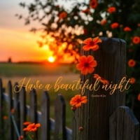 Good Night - Have a beautiful evening!