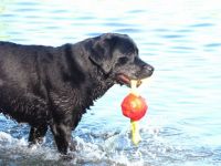 Playing in the water