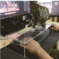 This is from an ad on amazon selling clear, acrylic keyboard covers.