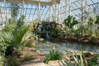 Kew Gardens - Temperate House