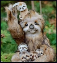 ~Gotta love a sloth ࿐❥❤️ ~