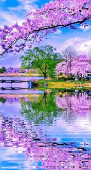 Spring Reflections At The Park....