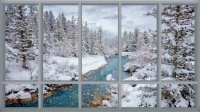 Winter through a window