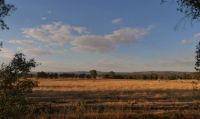 Australian Countryside