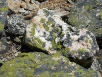 Colorful rocks
