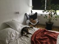 Go away - we are sleeping