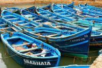 Blue Boats - Morocco