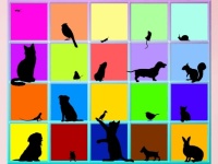 Animals in Squares