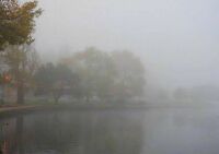 Fog on Lake Merritt