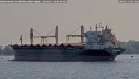 Greenwing, Marine City, June 1, 2023