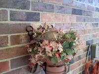Mama dove and two babies