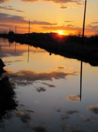 Sunset Reflections