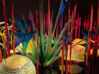 Chihuly Glass