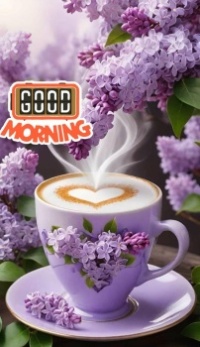 Goedemorgen middag avond puzzelaars