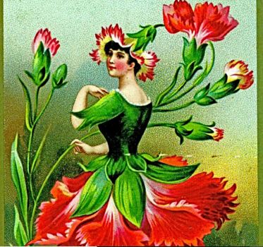 Flower Carnation Girl - 1890