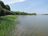 Along the shore of the Vlhlavský fishpond