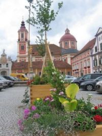 Little town in Austria