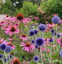 Bloemen