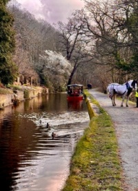 Horse Drawn Boats on the Canal today at Llangollen