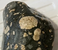 "Porphyry" light colored feldspar phenocrysts in black, fine grained, basalt groundmass.