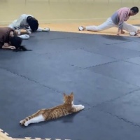 Yoga Teacher