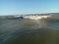 Balaton 1