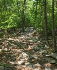Trail to Flat Rock overlook