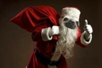 Santa Sloth coming to town.