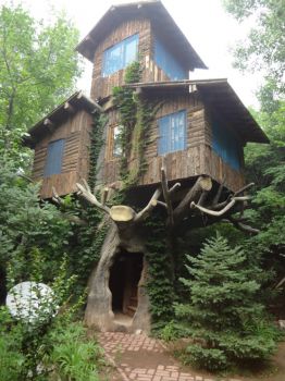 Tree-House-In-The-Woods