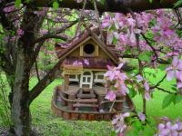 BEAUTIFUL BIRD HOUSE