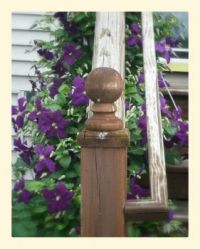 20150615_100416~2~2