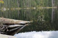 Česká republika - Šumava - Prášilské jezero