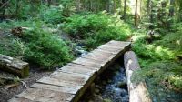 Wilderness Bridge