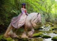 A Lady Rides to Camelot