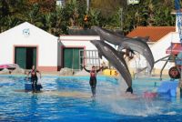 Golfinhos Zoo Lisboa