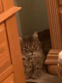 Fred's Hiding Spot