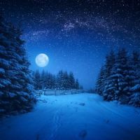Wintery Night