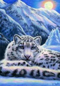 Snow leopard winter