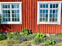Barn windows
