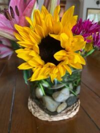 Sunflower in rock vase
