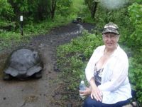 Giant land Tortoise, Look how close I am 