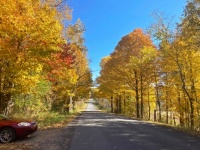 Peak Color - Gold Season