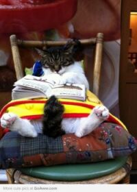 'ZZZZZZZZZZZ'  SSSHH!  DON'T WAKE HIM...