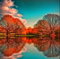 Autumn Splendor