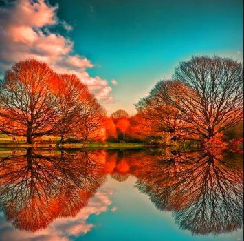 Autumn Splendor