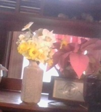April 18, 2023 my daffodils