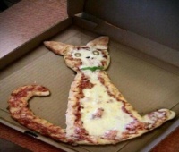 Pizza for cats