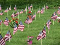 Happy Independence Day